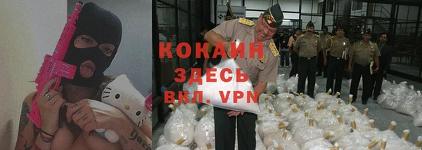 индика Беломорск