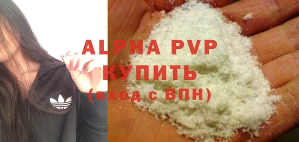 трава Белокуриха