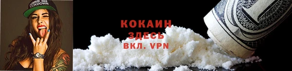 трава Белокуриха