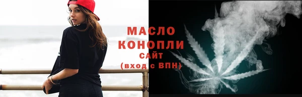 индика Беломорск