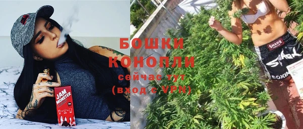 индика Беломорск