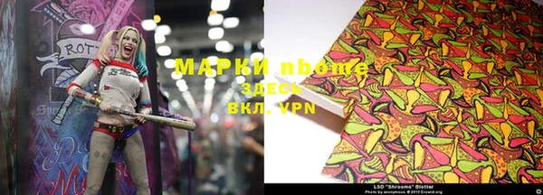 трава Белокуриха