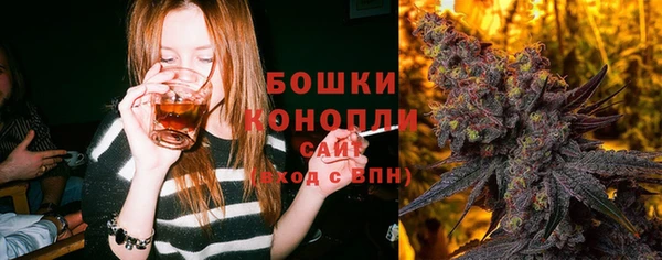 индика Беломорск