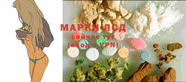 трава Белокуриха