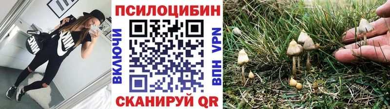 Псилоцибиновые грибы Psilocybe Бирюсинск