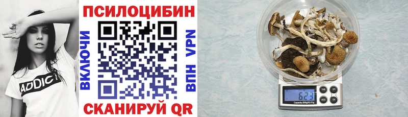 Галлюциногенные грибы Psilocybe  Бирюсинск 